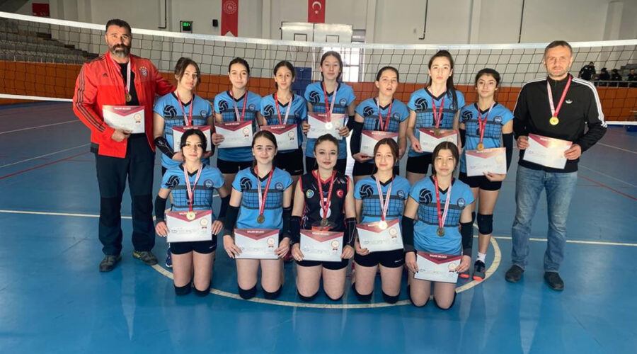 Anadolu Lisesi Bölge Şampiyonu